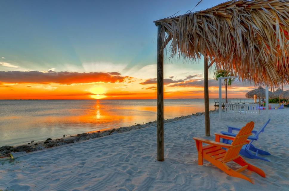 441-Waterfront, Amazing Views, Wifi, Pool And Close To Bucs Stadium Tampa Ngoại thất bức ảnh